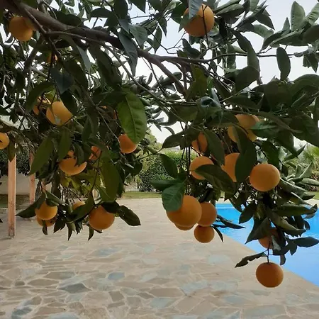 Wakacyjna Z Basenem W Βίλα *